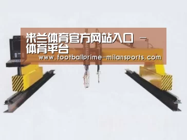 产品名称十七