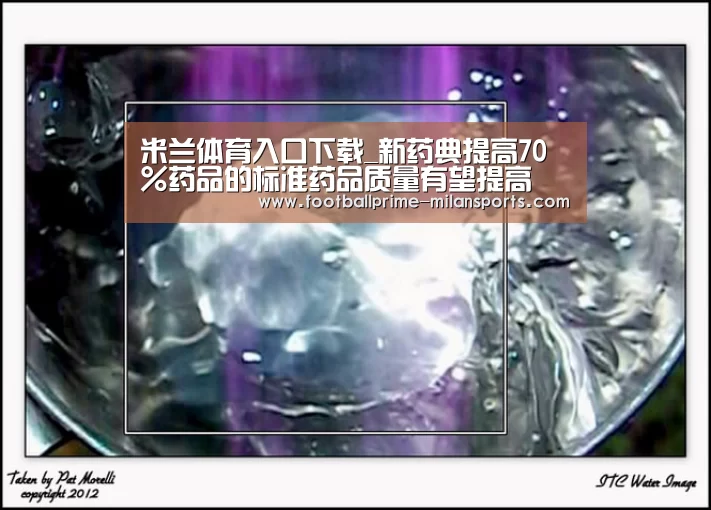 米兰体育入口下载_新药典提高70%药品的标准药品质量有望提高(图3) 米兰体育app