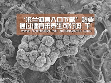 ‘米兰体育入口下载’想要通过健身来养生可行吗 千万不要运动过量!(图1) 米兰体育网页版